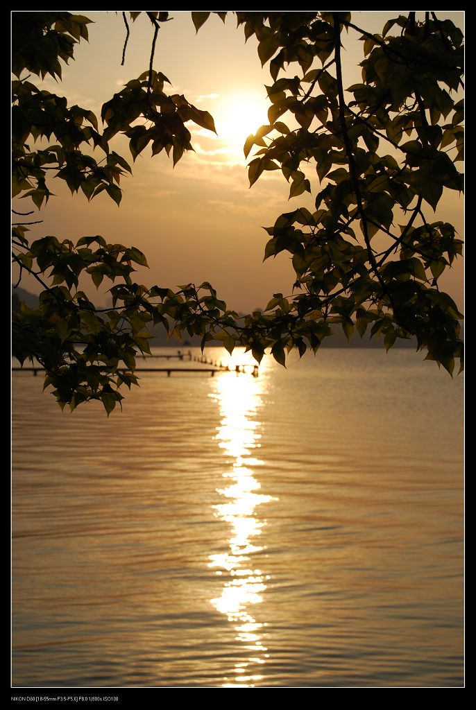 夕阳西下 摄影 老巴顿