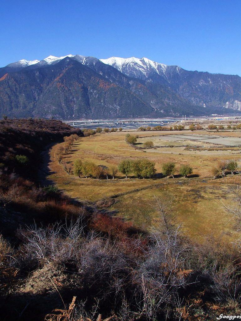 远眺湿地 摄影 弄花斋堂主