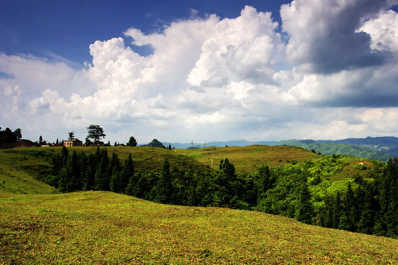 高山上的草原 摄影 山谷