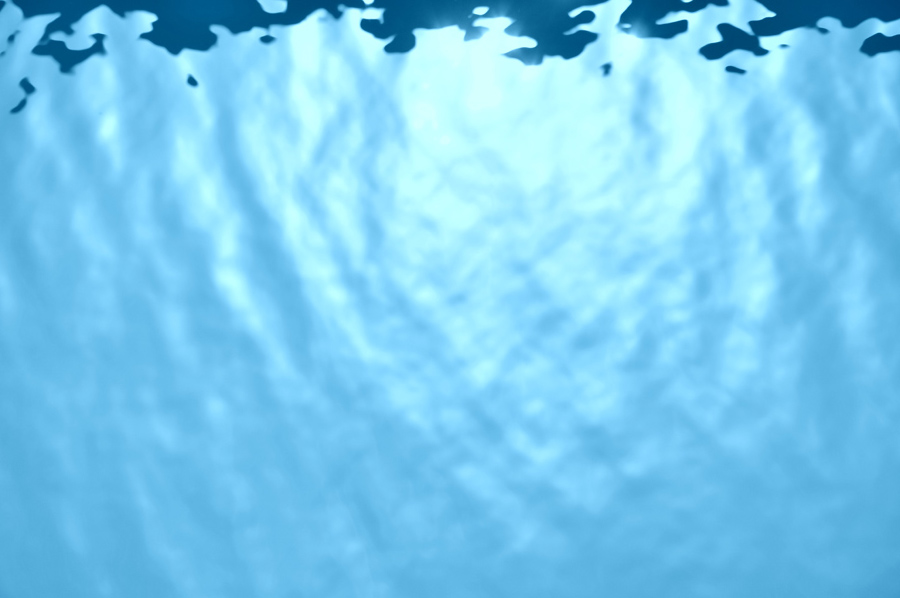 夏 摄影 Peice