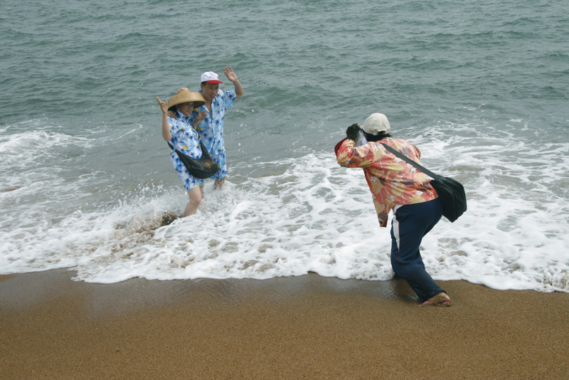 海边娇姿 摄影 王柏杉