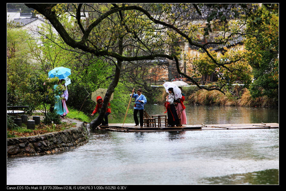 雨中小景 摄影 蜂影