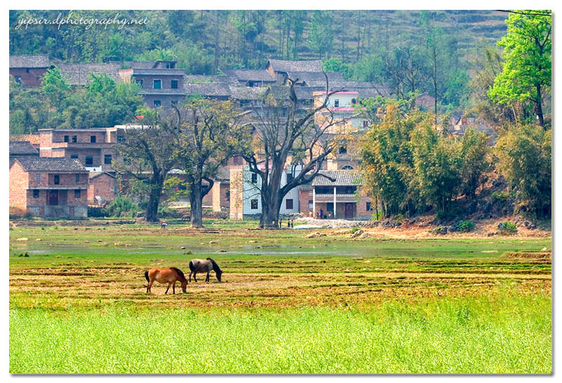 乡村小景 摄影 yipsir