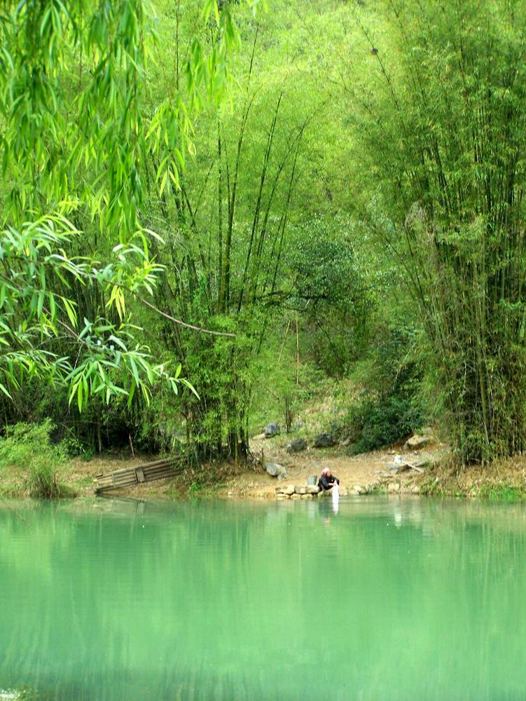 融 摄影 风中的羽毛