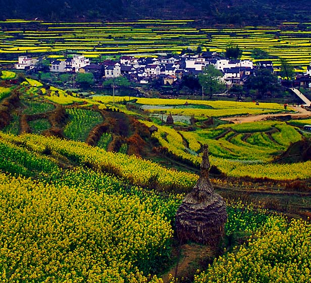 春醉小山村 摄影 傍水驿