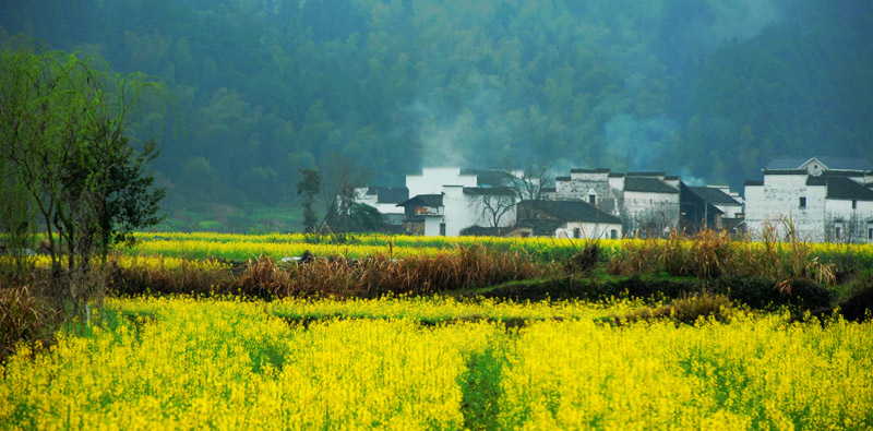 四月山村婺源 摄影 hankun