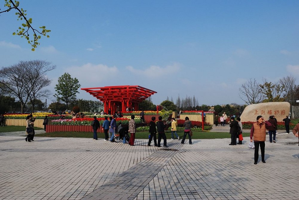 花展 摄影 li-wei