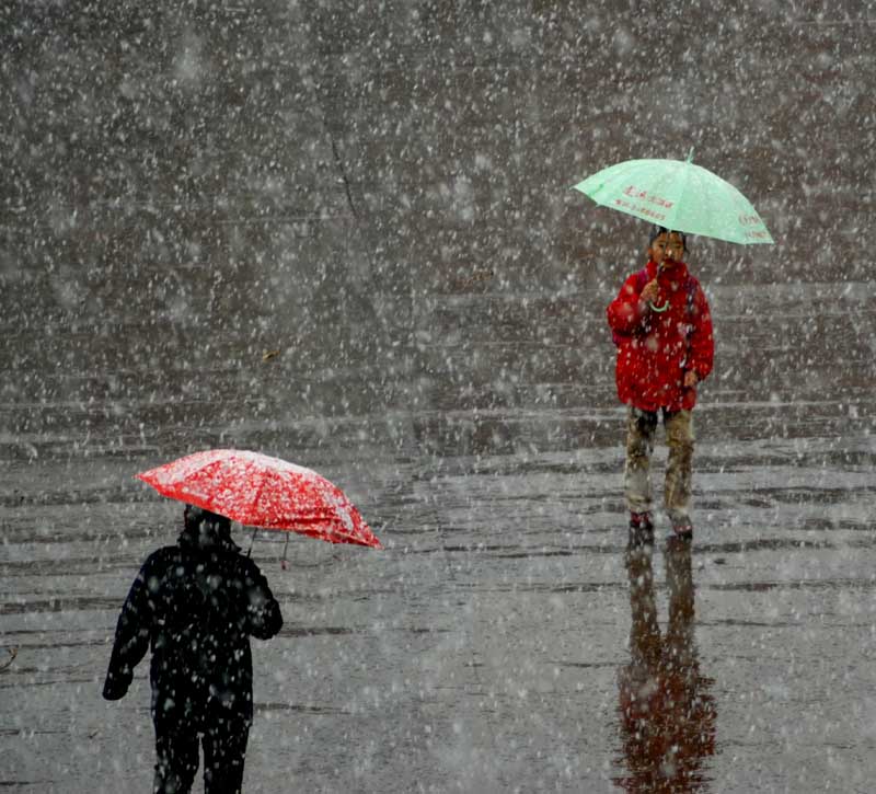 春雪 摄影 喜来乐