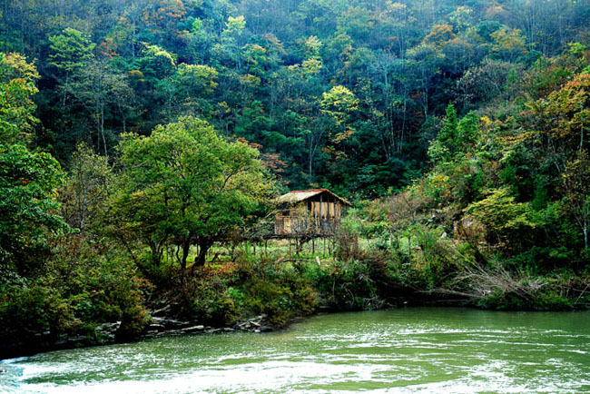 农家小屋 摄影 jinyeye