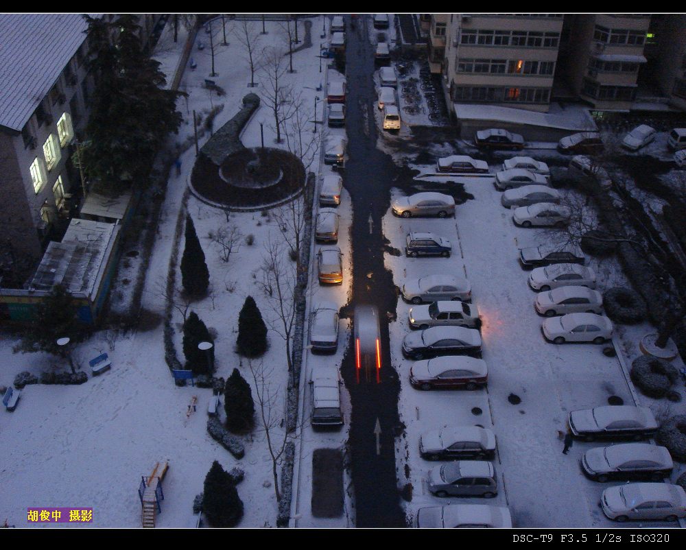 院里的雪 摄影 胡俊中