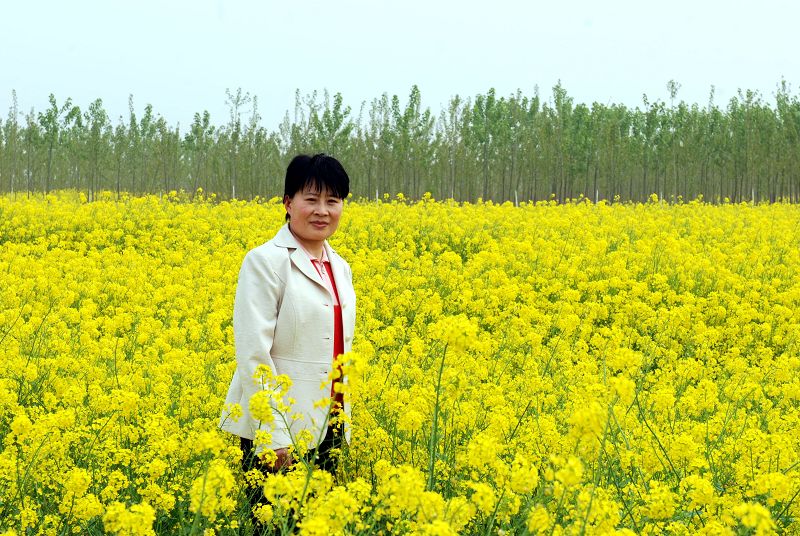 油菜花开遍地黄 摄影 智者-巧思