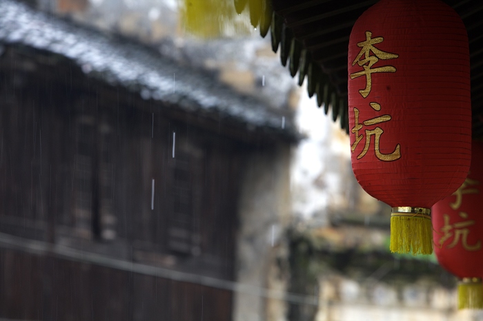 春雨 摄影 风铃儿