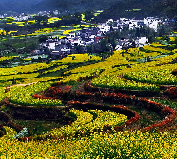 春抱山村 摄影 傍水驿