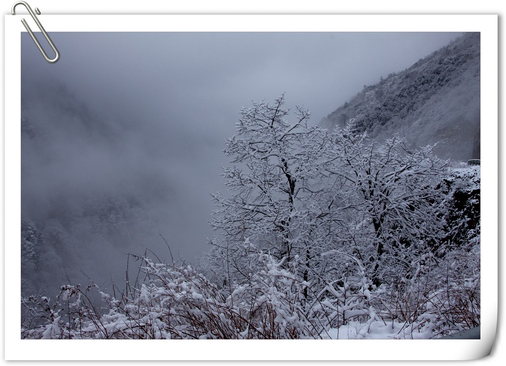 夹金山雪景 摄影 大白熊