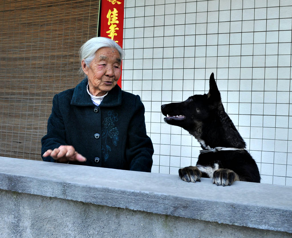 伙伴 摄影 陕南闲人