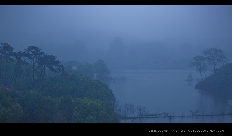 烟雨两三树 摄影 旧船票