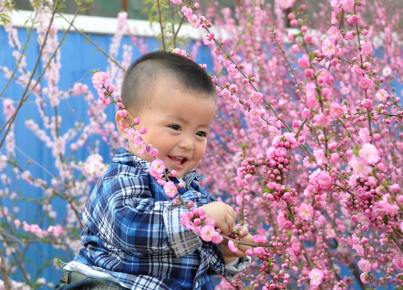 子涵（14个月）7 摄影 渤海红柳