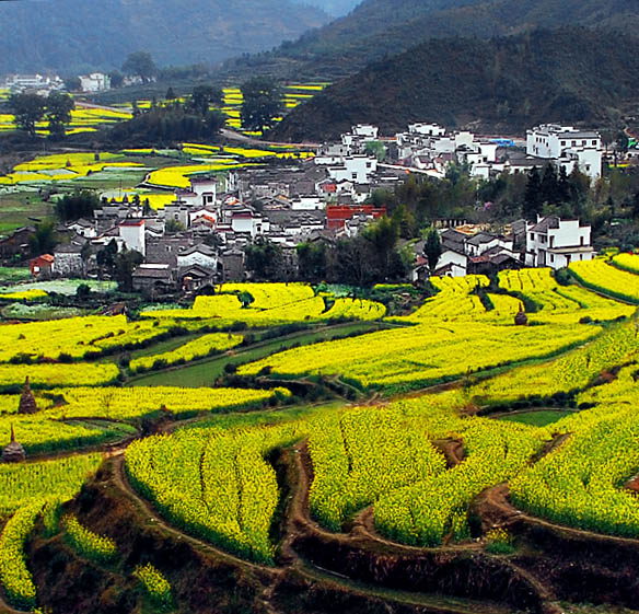 画里乡村—婺源 摄影 傍水驿