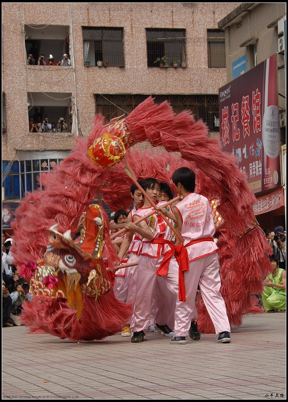 舞 摄影 小牛上路