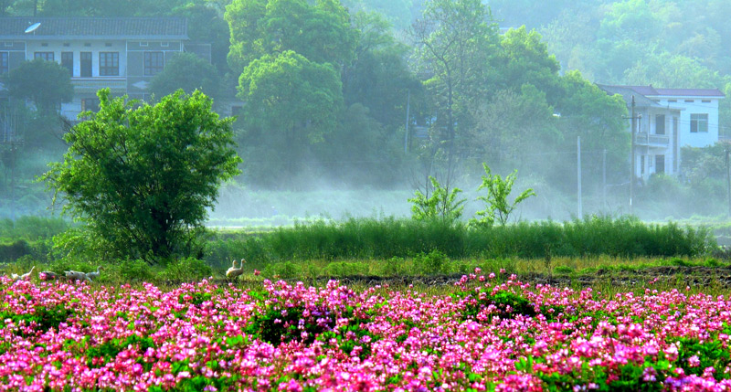 乡间小景 摄影 20class