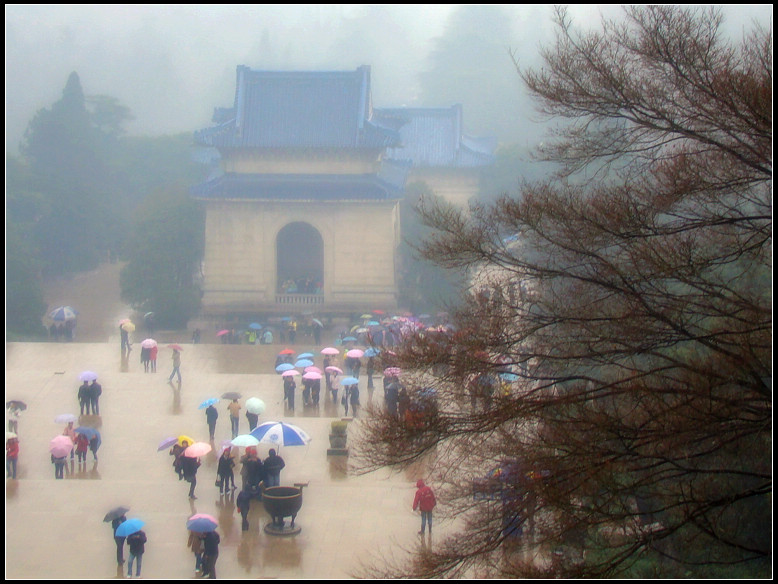 在雨中 摄影 又见垂杨