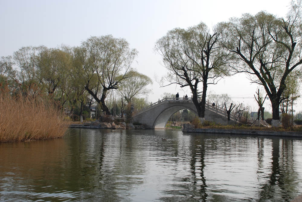 明湖新景 摄影 神秘的紫色