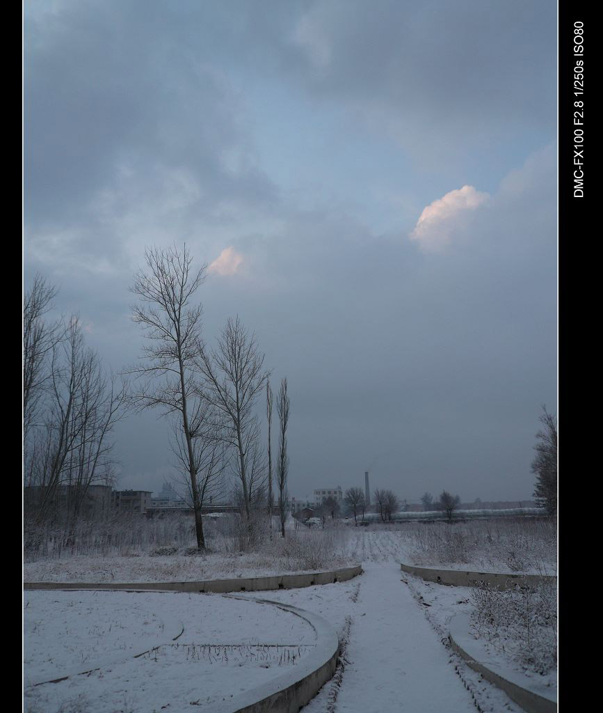 雪景 摄影 ssw