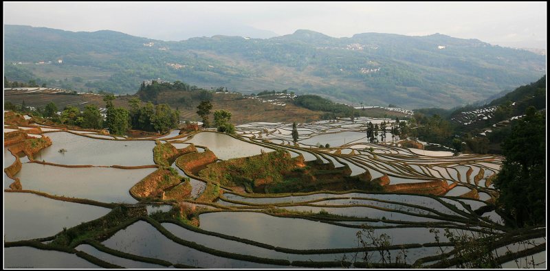 元阳梯田 摄影 桂花城