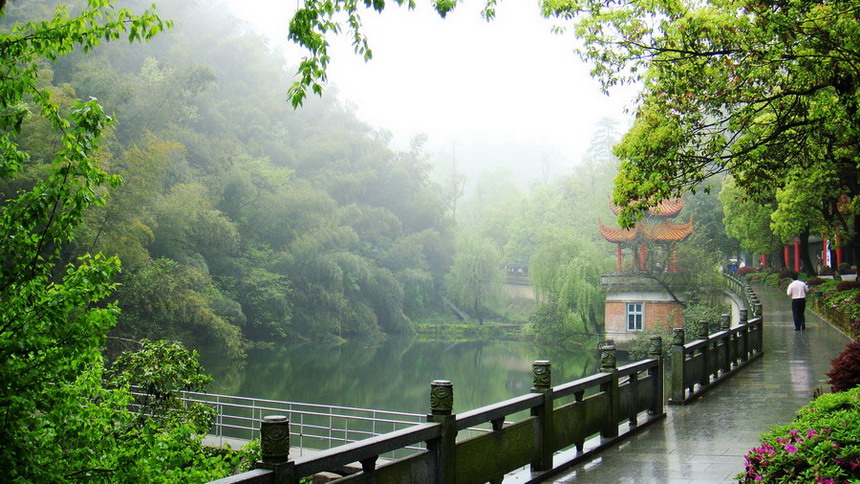 雨景 摄影 lanny1212