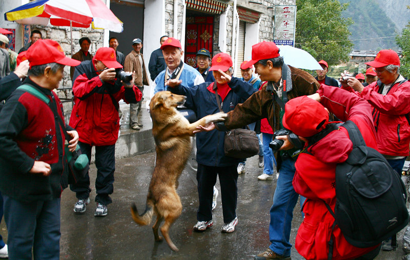 欢迎大家..... 摄影 波波多夫