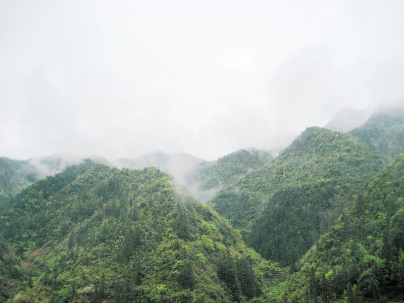 雾漫春山 摄影 林风溪水