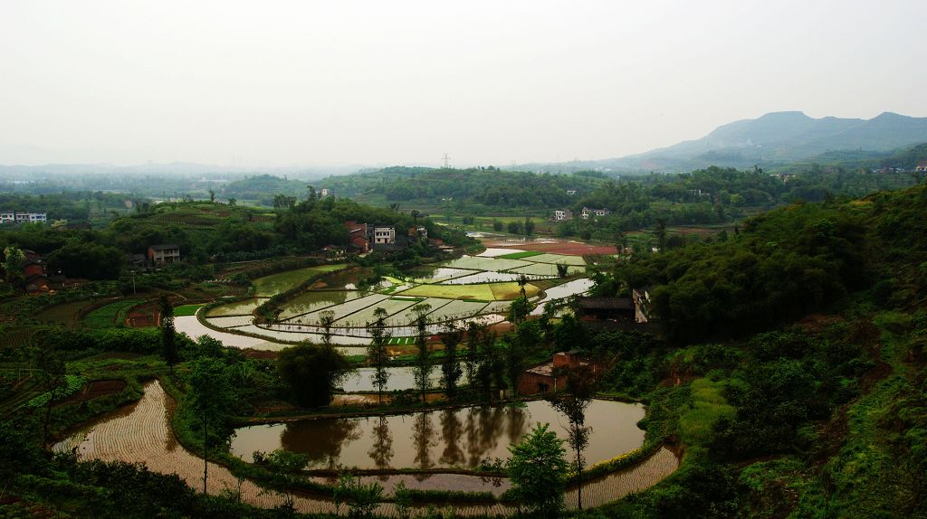 田园风光 摄影 yanxiaohua