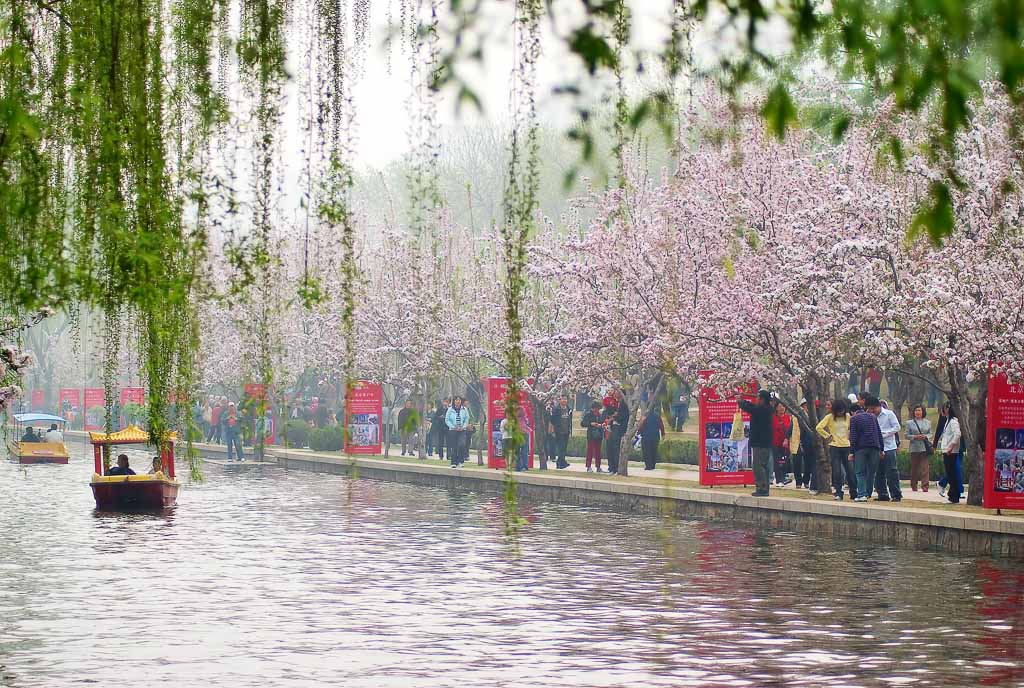 柳暗花明 摄影 苗思