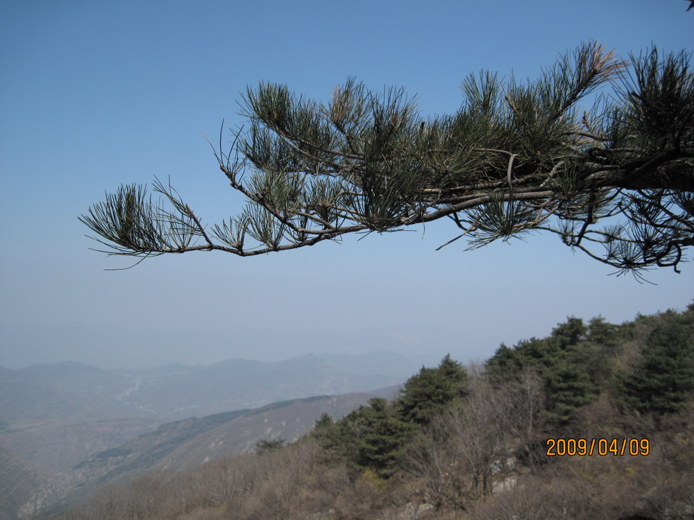 嵩山驴道风景 摄影 常在心