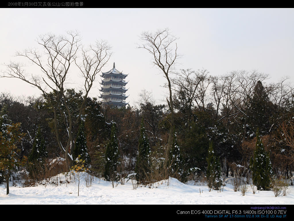 又去张公山公园拍雪景（24） 摄影 马晋江