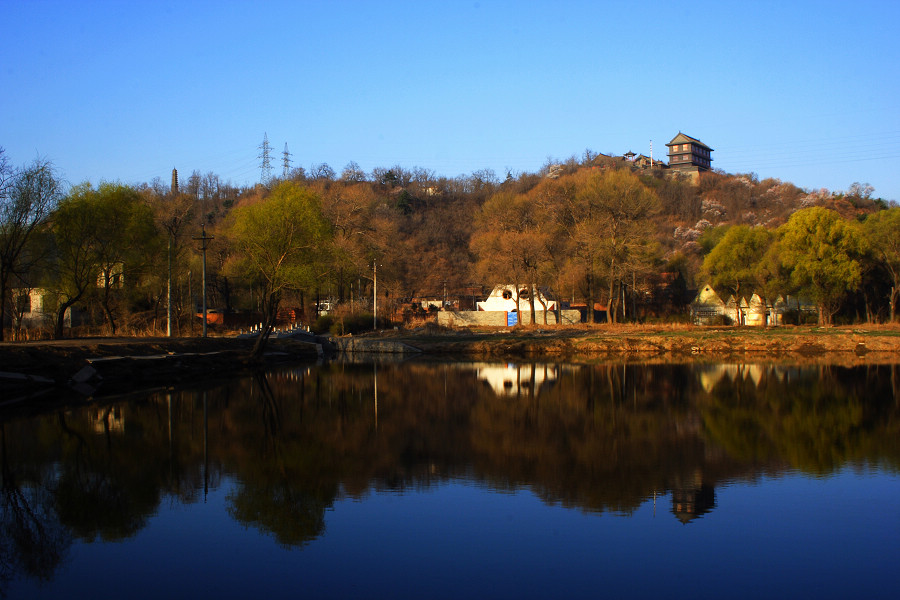 春回大地 摄影 光影之乐