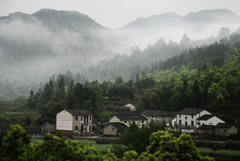 雨润江南 摄影 光色影GY