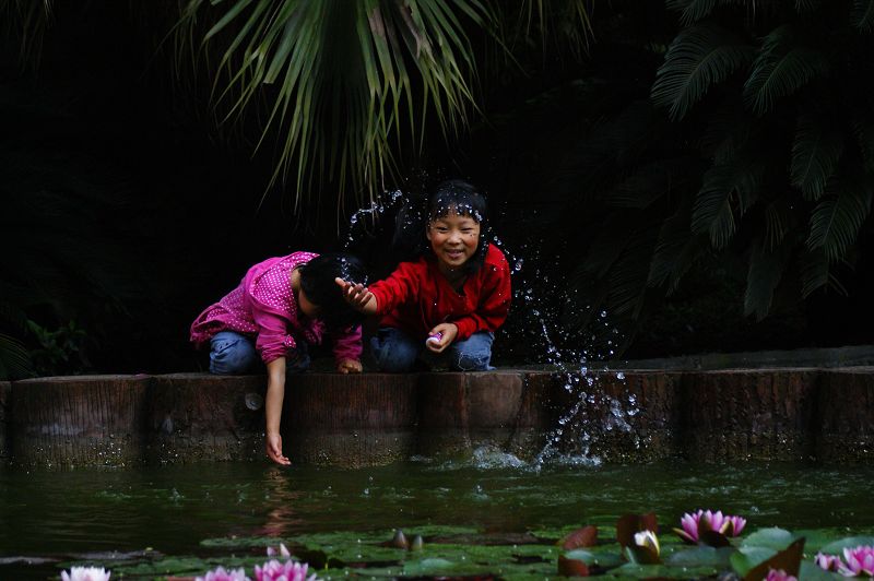 游莲戏水 摄影 超菜