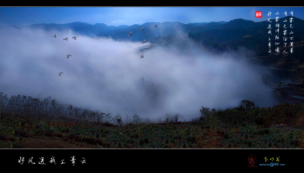 好风送我上青云 摄影 老竹翁