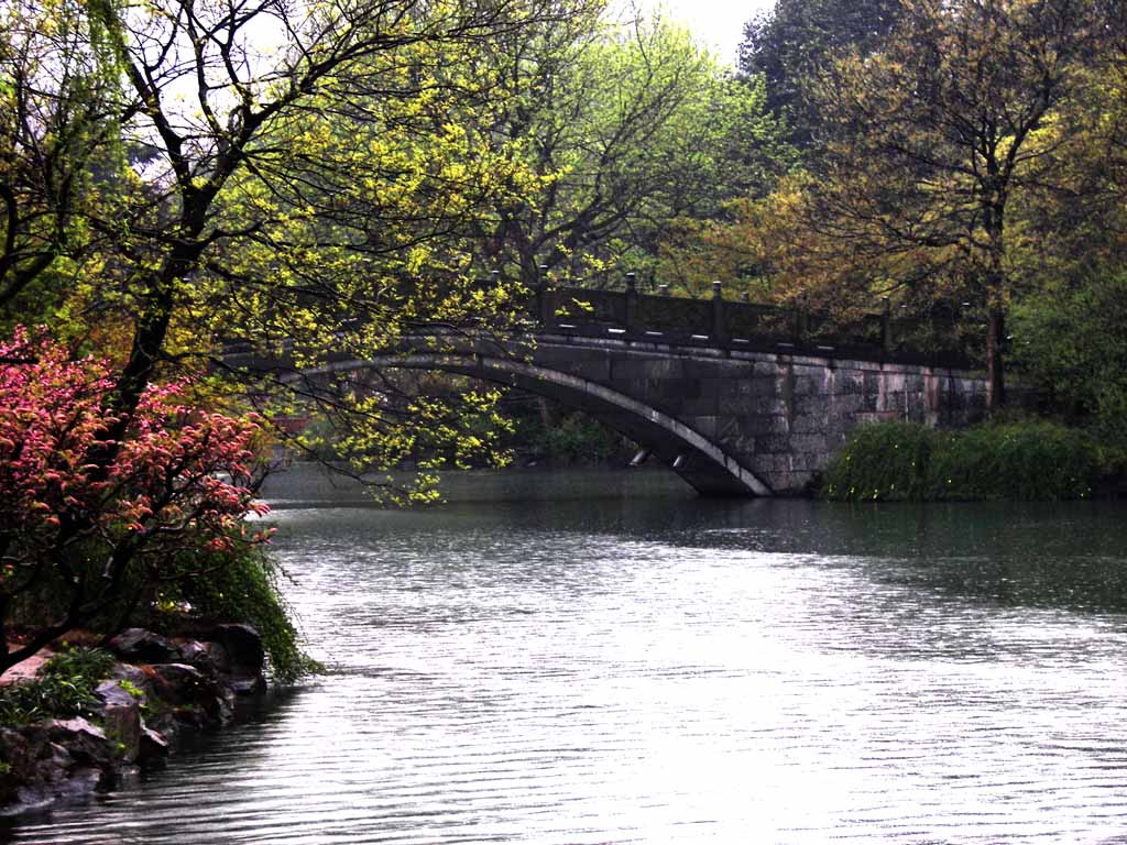 抗州西湖一景 摄影 子城