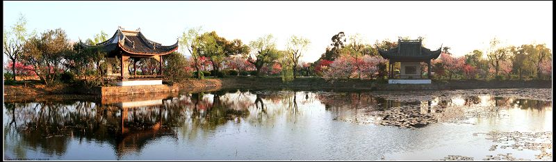 无锡-------蠡园 摄影 凌波红莲