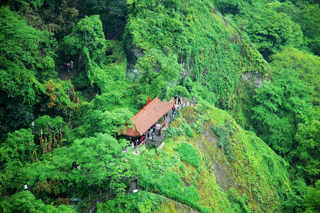 点缀 摄影 忠哥