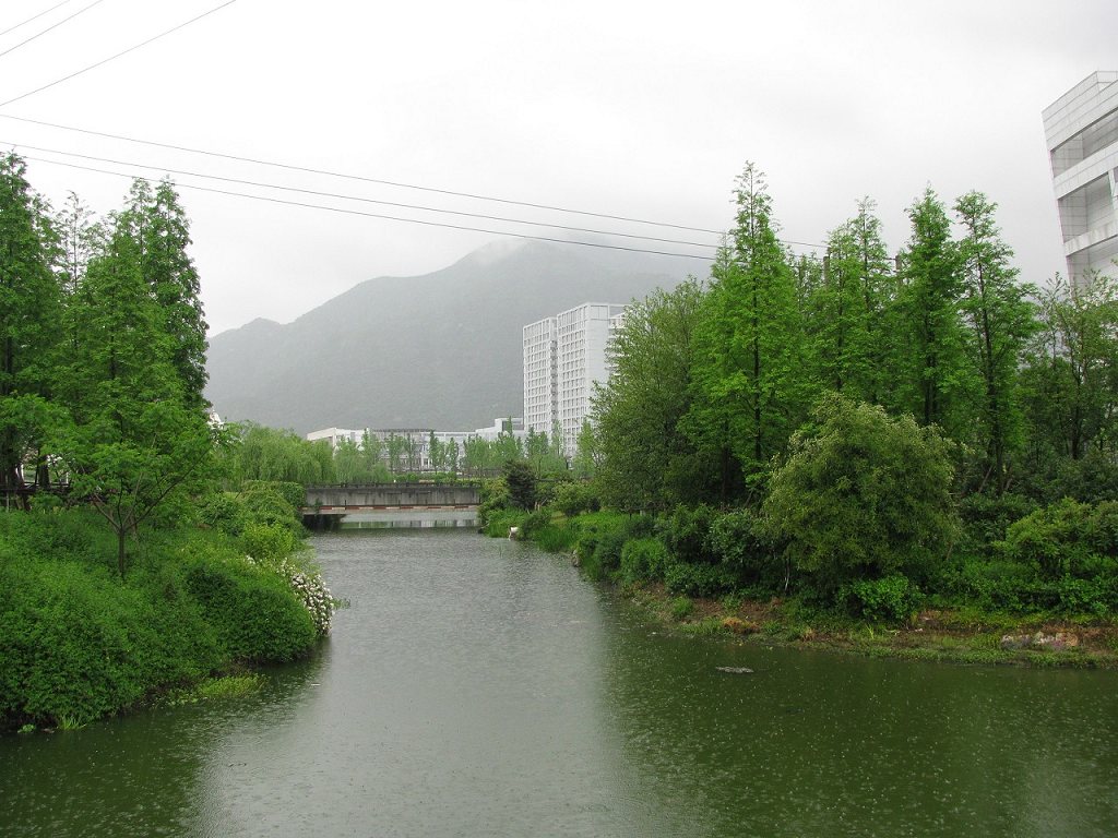 春雨细如毛 摄影 源头活水