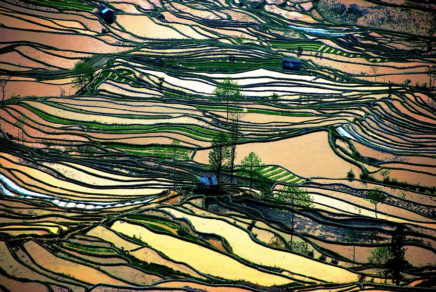 田韵 摄影 山枣