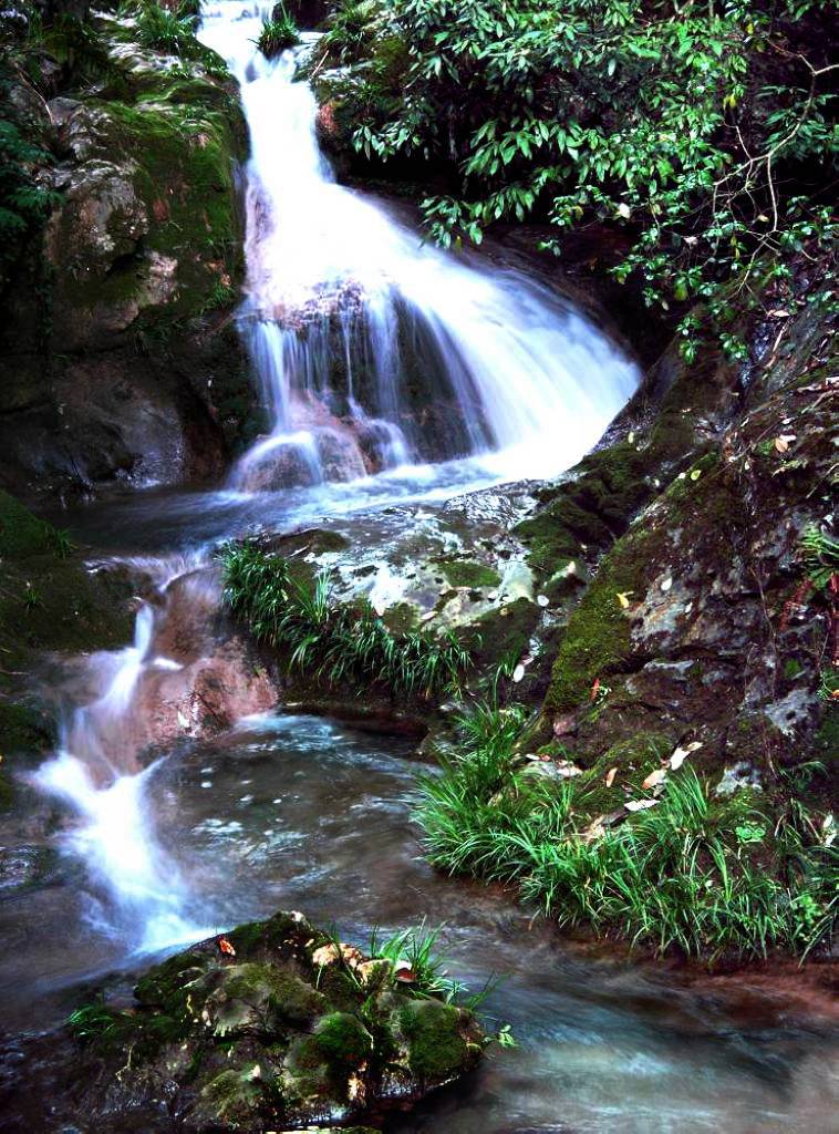 春水 摄影 森山红叶