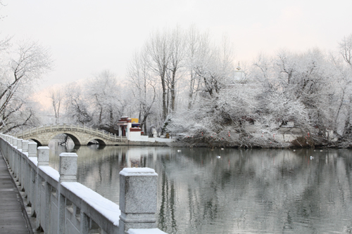 龙王潭的雪景 摄影 雪城图人