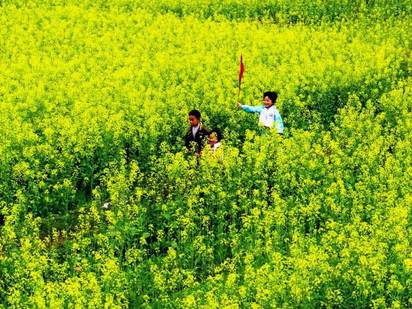 心情飞扬 摄影 闽山茶客