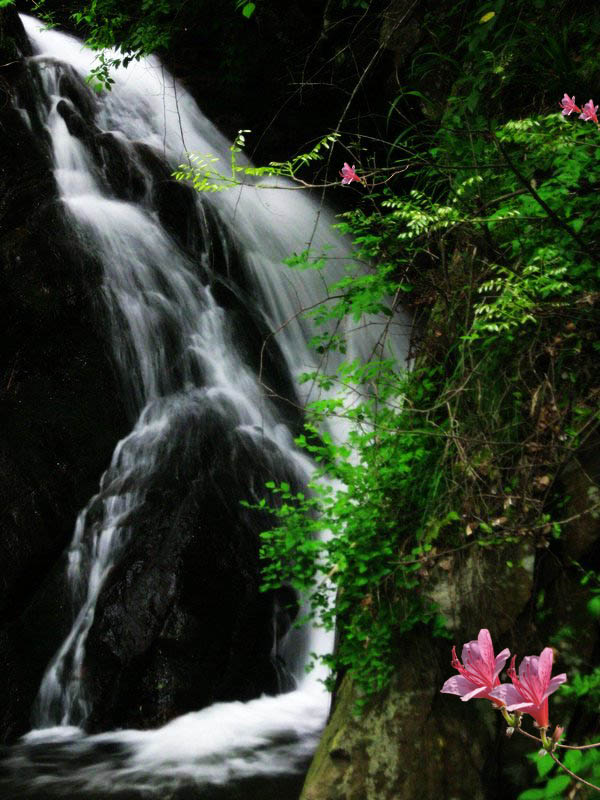 石佛瀑 摄影 丰雨