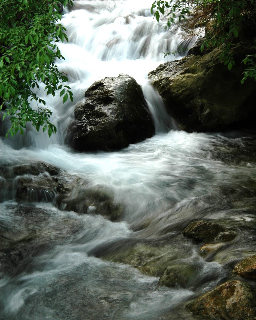 春韵 摄影 森山红叶