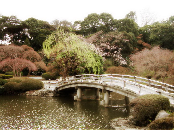 春风吹 摄影 mitaka